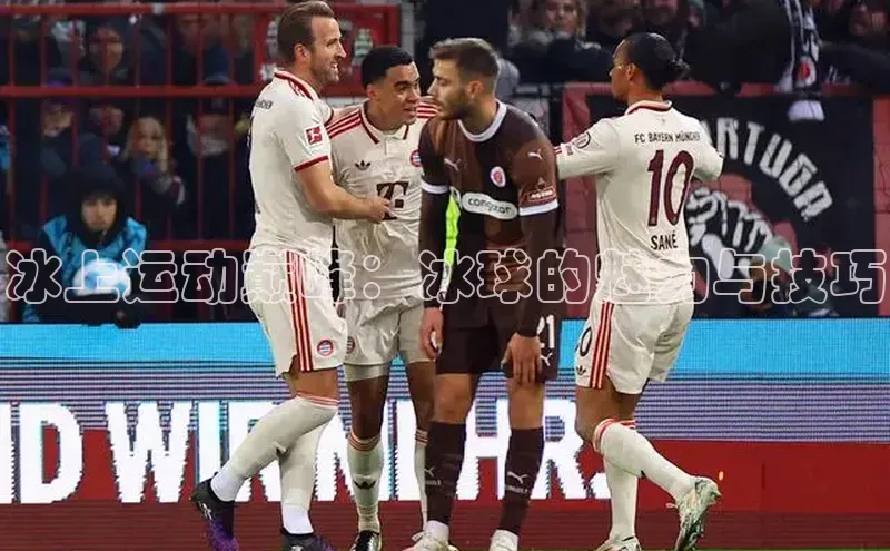 冰上运动巅峰：冰球的魅力与技巧